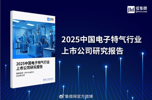 2025中國(guó)電子特氣行業(yè)上市公司研究報(bào)告 技術(shù)開發(fā)及技術(shù)咨詢領(lǐng)域深度剖析